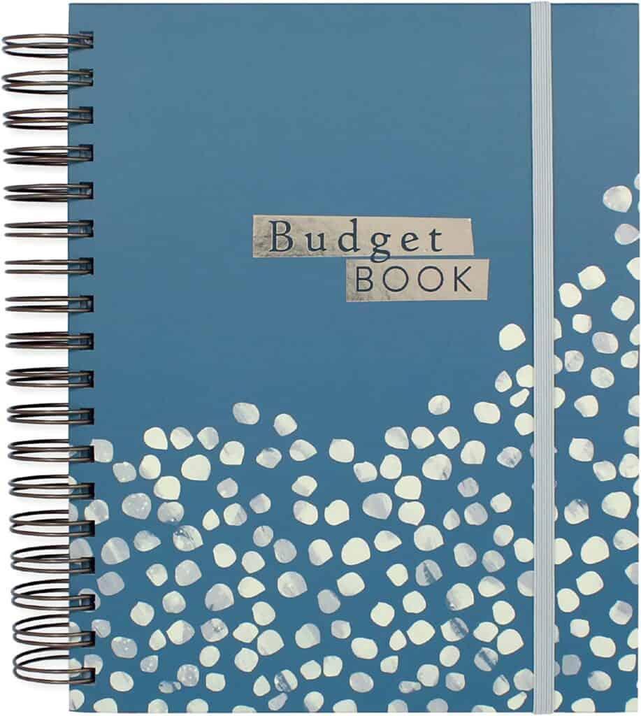 Boxclever Press Bill Organizer and Budget Book, best budget planner, best planner