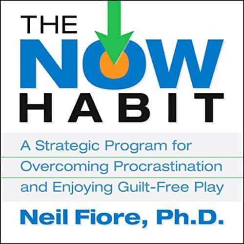 the now habit, Neil Fiore, business leaders, vertical thinking, inner artist